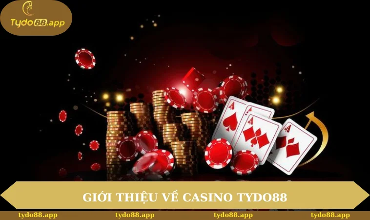 Giới thiệu về casino TYDO88