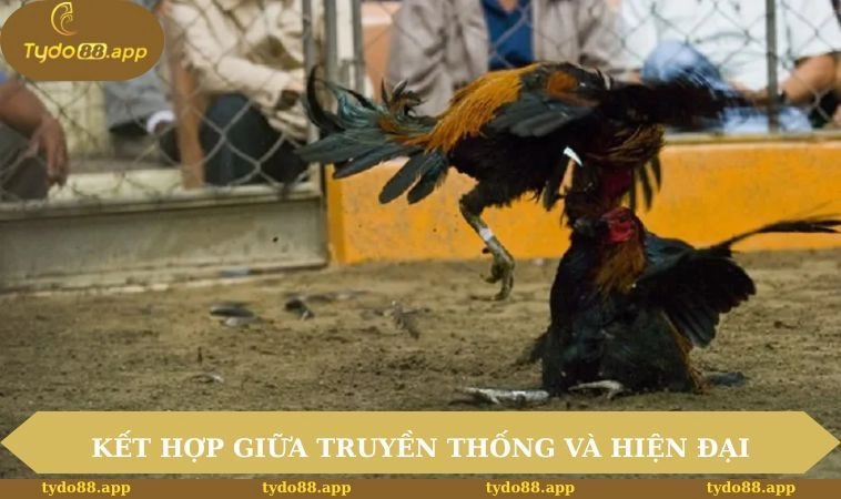 Kết hợp hoàn hảo giữa tính truyền thống và hiện đại