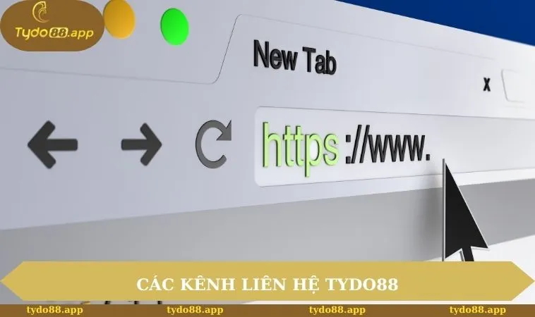 Các kênh liên hệ TYDO88 bạn có thể tận dụng