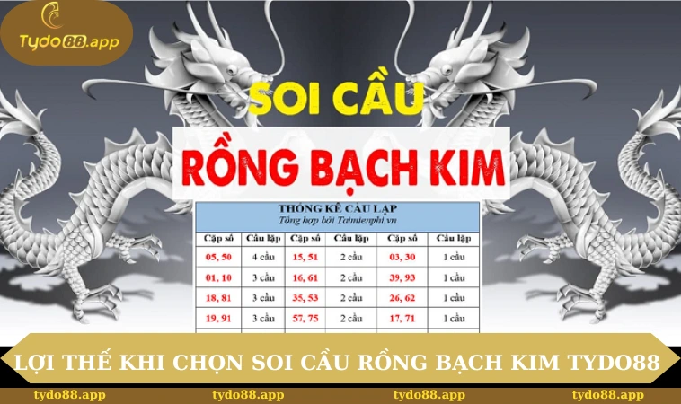 Soi Cầu Rồng Bạch Kim Từ Chuyên Gia Chi Tiết, Hiệu Quả 1 Lợi thế khi chọn soi cầu Rồng Bạch Kim tại TYDO88