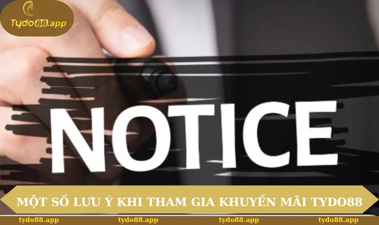 Khuyến mãi TYDO88 3 Một số lưu ý khi tham gia khuyến mãi TYDO88