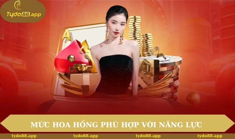 Đại lý TYDO88 2 Mức hoa hồng phù hợp với năng lực và thành tích
