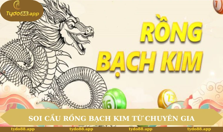 Soi Cầu Rồng Bạch Kim Từ Chuyên Gia Chi Tiết, Hiệu Quả 11 soi cầu rồng bạch kim