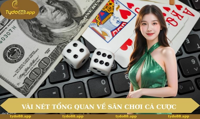 TYDO88 26 Vài nét tổng quan về sân chơi cá cược
